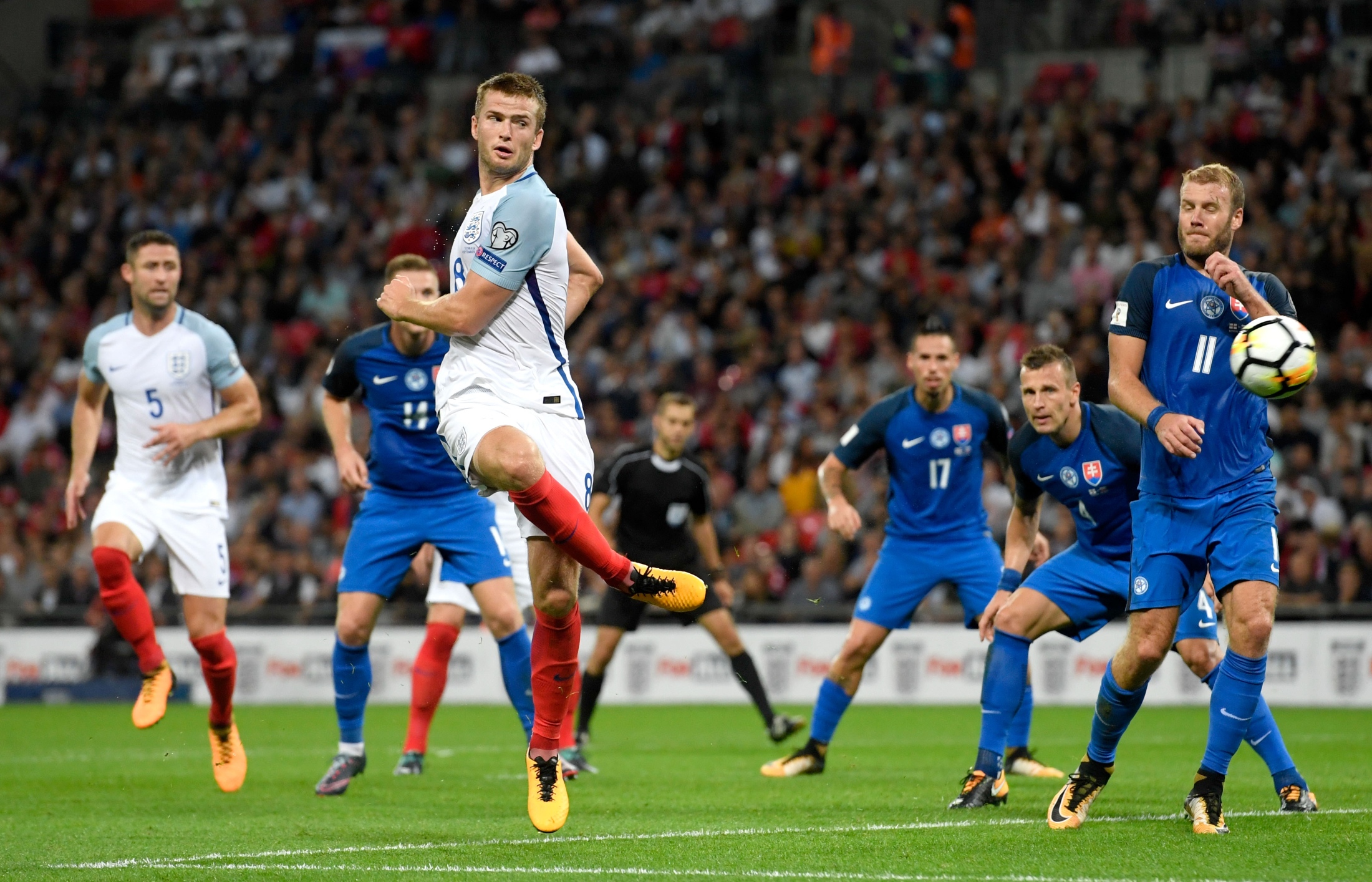 一个庞大的 一个庞大的