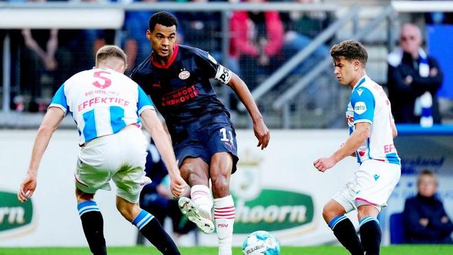 草蜢在面对 草蜢在面对